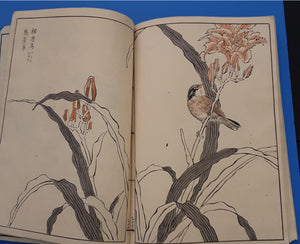 1885 Japanese Album of Woodblock Prints by Bunrei (文嶺)