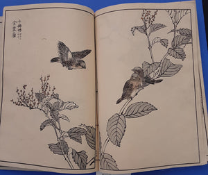 1885 Japanese Album of Woodblock Prints by Bunrei (文嶺)