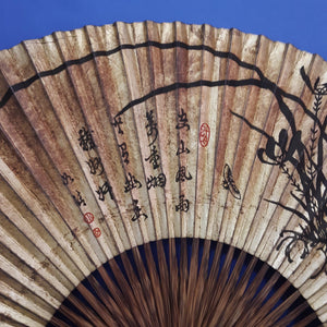 A Chinese Folding Fan, Qing Dynasty